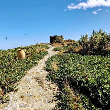 Isla Privada En Cadaques De Ensueno Con 11 Habitaciones Dobles Con Bano Privado Y Piscina Eksteriør bilde