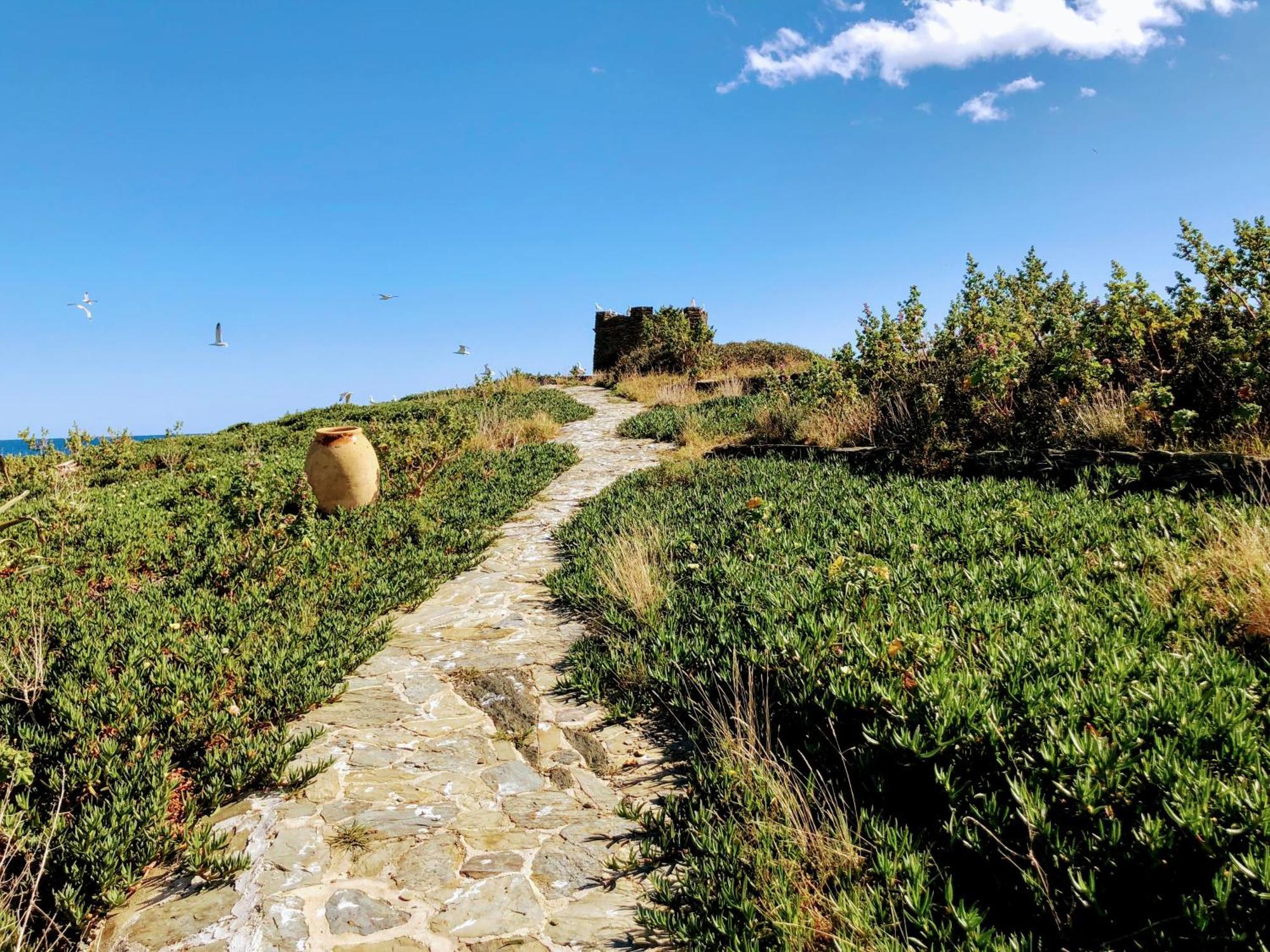 Isla Privada En Cadaques De Ensueno Con 11 Habitaciones Dobles Con Bano Privado Y Piscina Eksteriør bilde